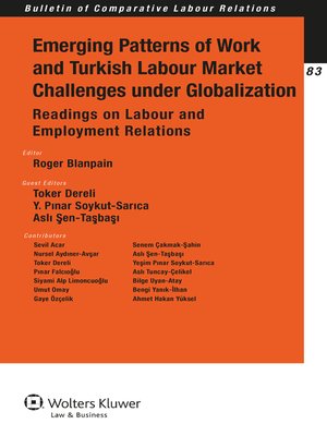 cover image of Emerging Patterns of Work and Turkish Labour Market Challenges under Globalization